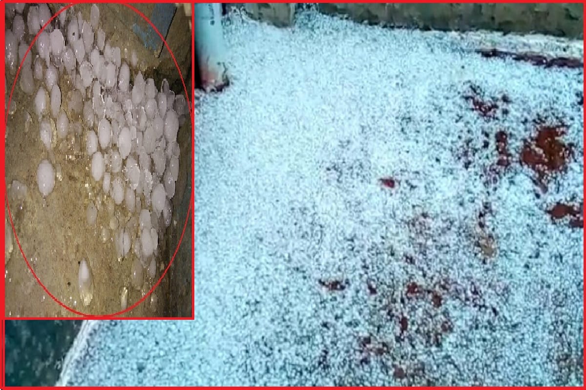 Meerut, fast rain and hailstones of many hours in West UP