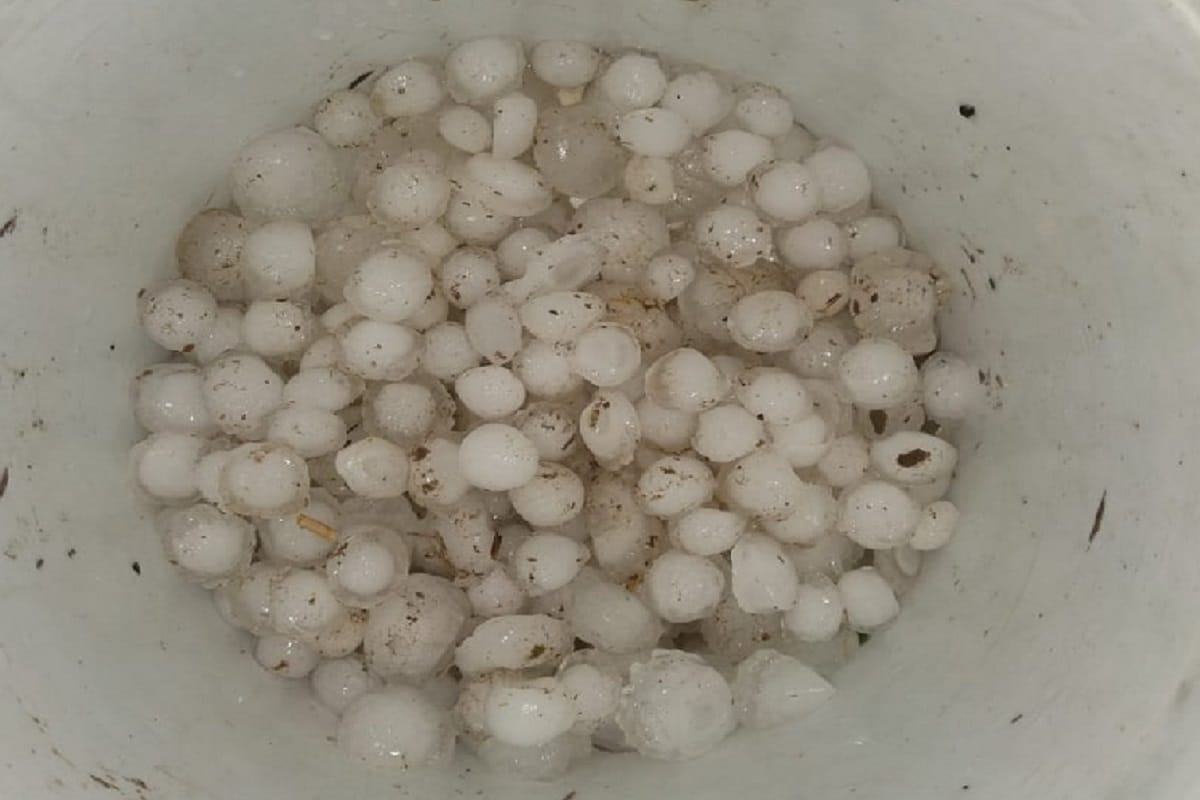 Meerut, fast rain and hailstones of many hours in West UP