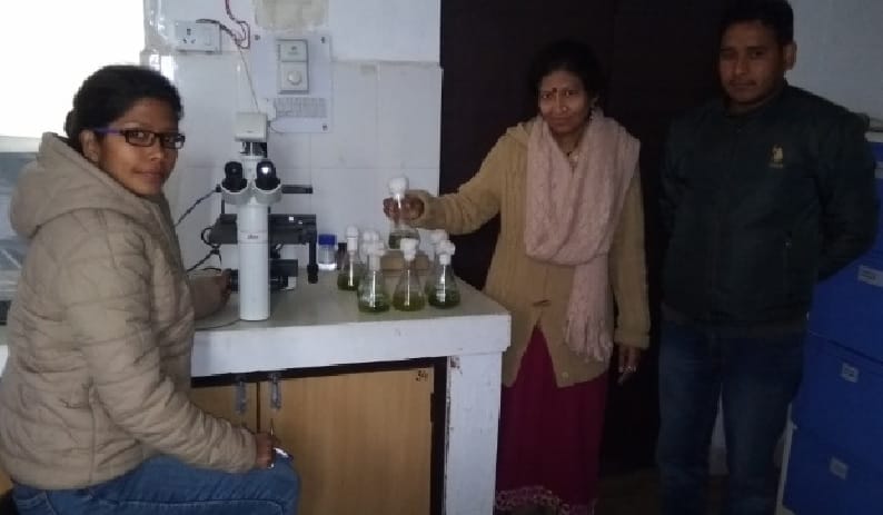 नैनीताल और भीमताल झीलों की काई से पैदा किया जा रहा जैविक ईधन