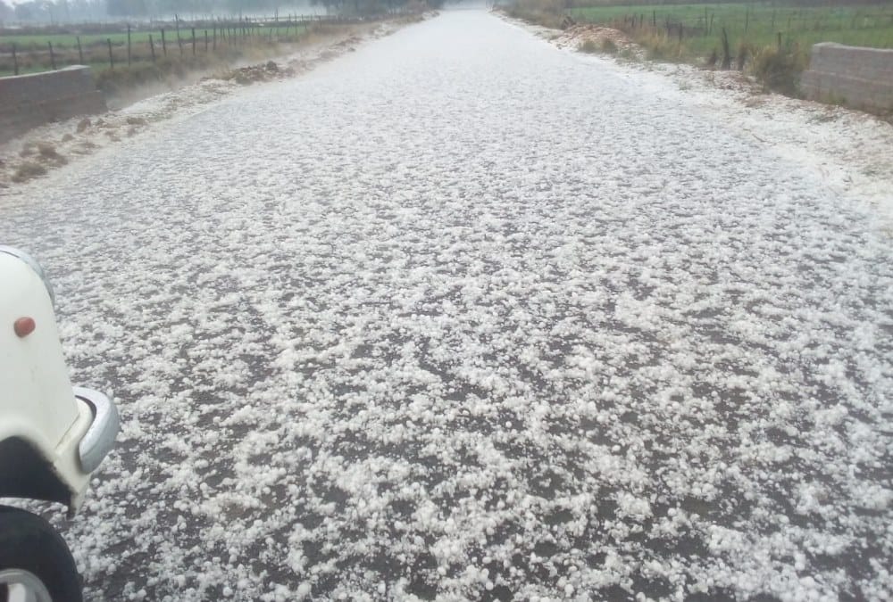 heavy rain in some districts in uttar pradesh.