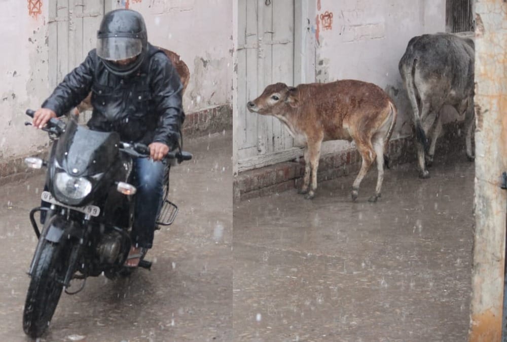 heavy rain in some districts in uttar pradesh.