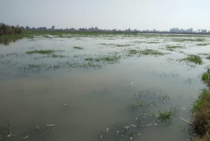 flood situation in Sultanpur Lodhi Area