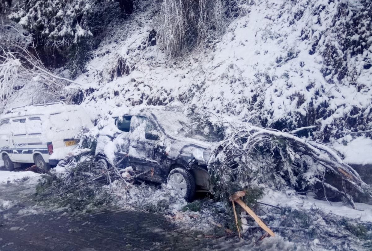 बर्फबारी के बीच कहर बनकर टूटे पेड़, लाखों का नुकसान