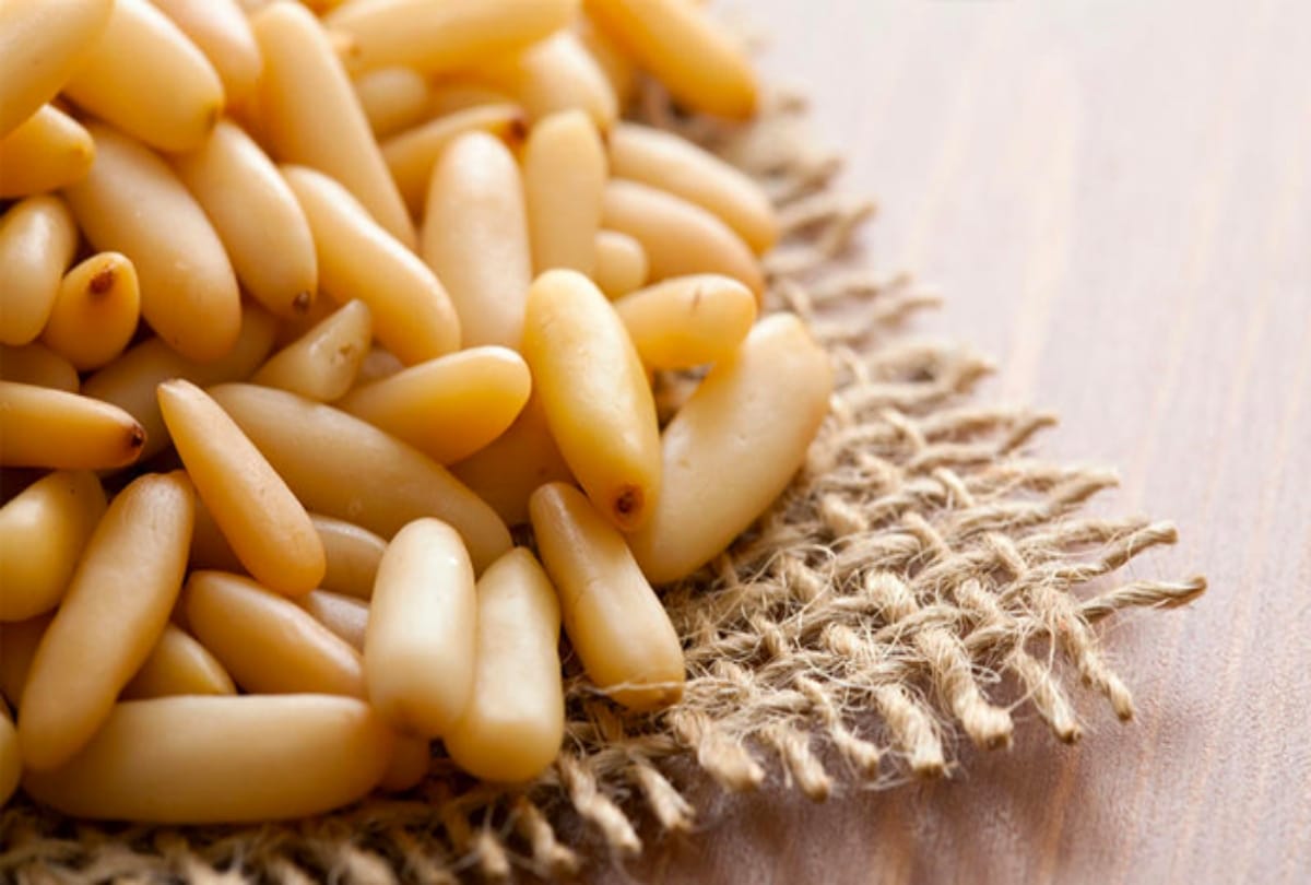 pine nuts benefits chilgoza physical power for male and female