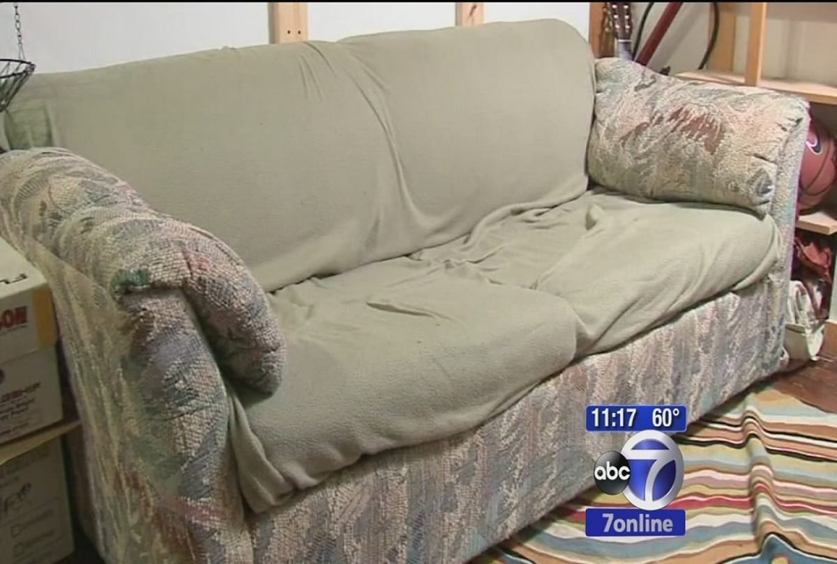 college students find around 29 lakh rupees inside sofa in paltz usa 