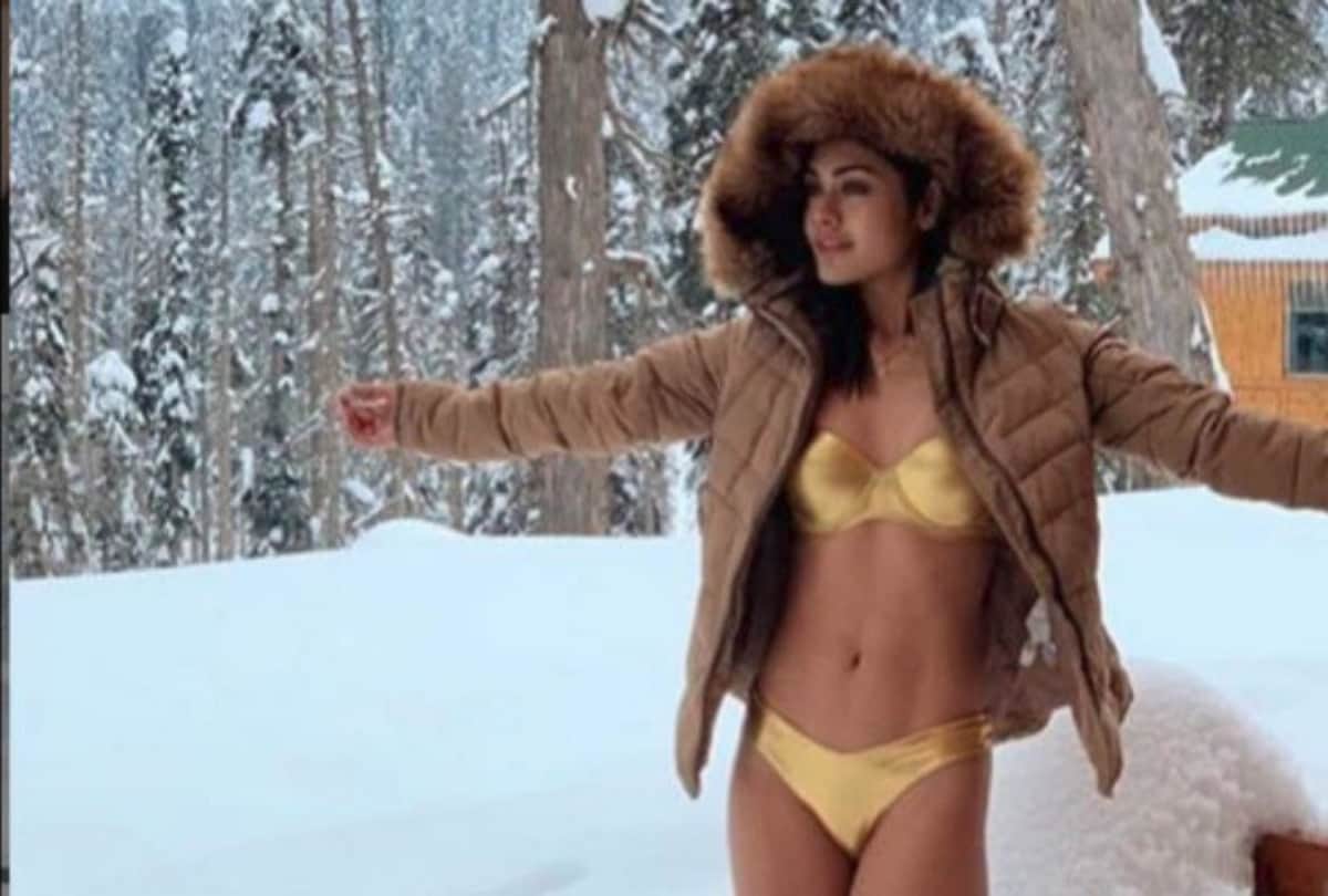 Sreejita De targetted by troll for posing in gold bikini at minus 10 degree Celsius