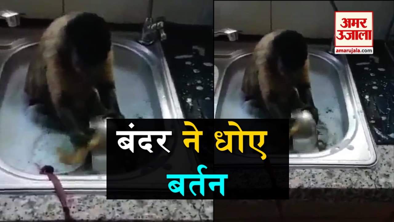 डिजाइन पिक्चर