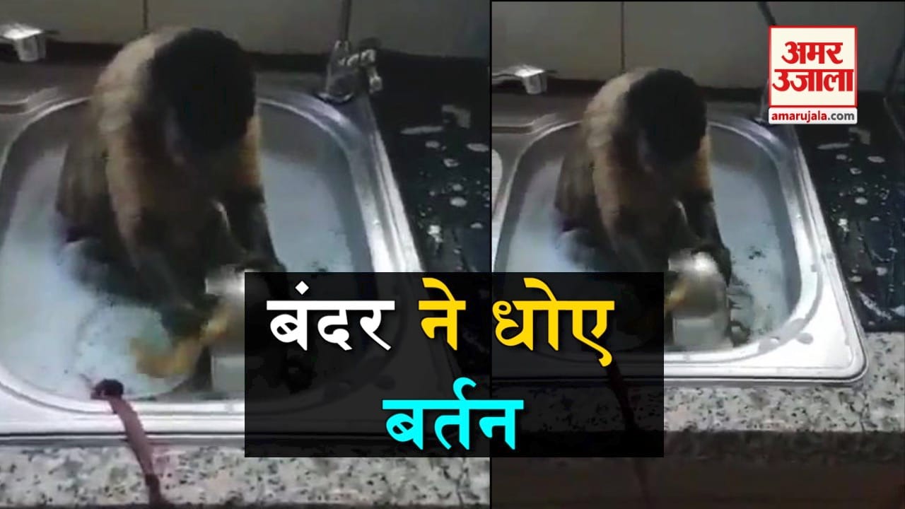 डिजाइन पिक्चर