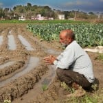 farmer shimla