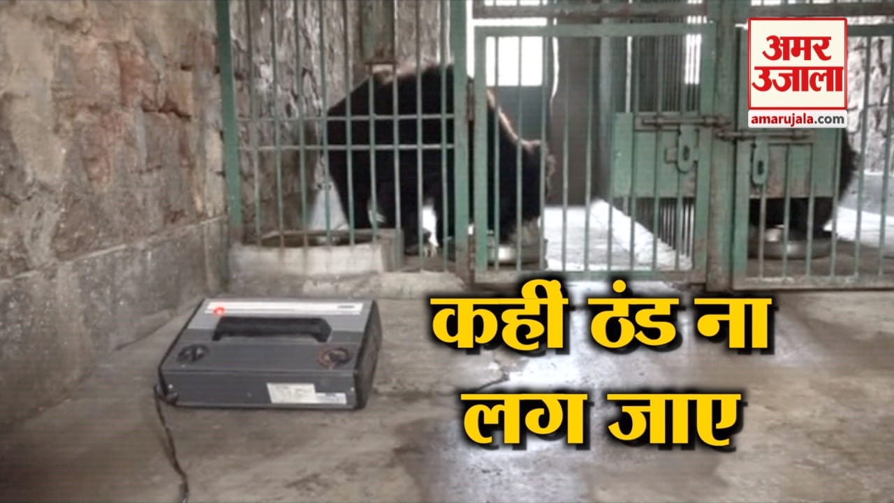 भालू