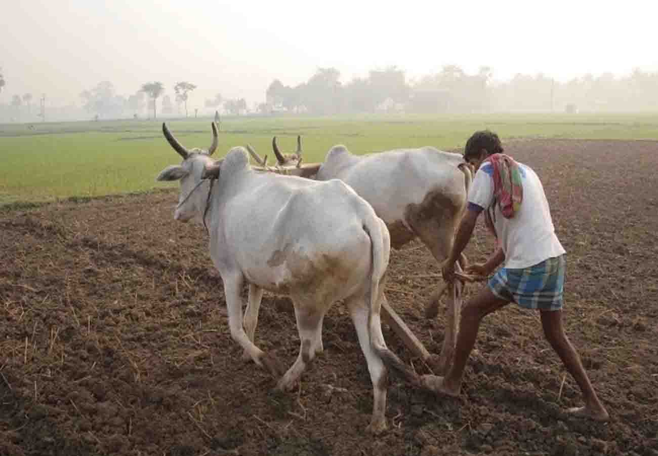 good news for farmers before Lok Sabha elections