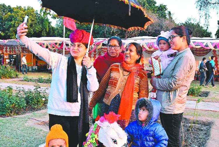 Rose Festival at Punjab University chandigarh