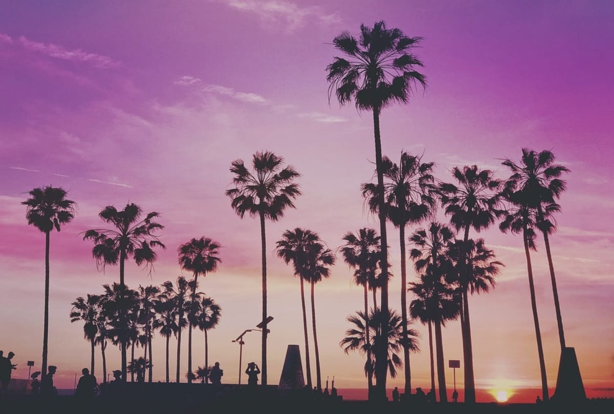 Nightlife In Los Angeles is a blissful experience