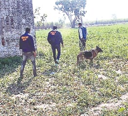 Youth's Alanya murder before engagement