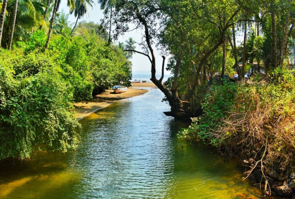 Secret beaches of Goa no one told you about