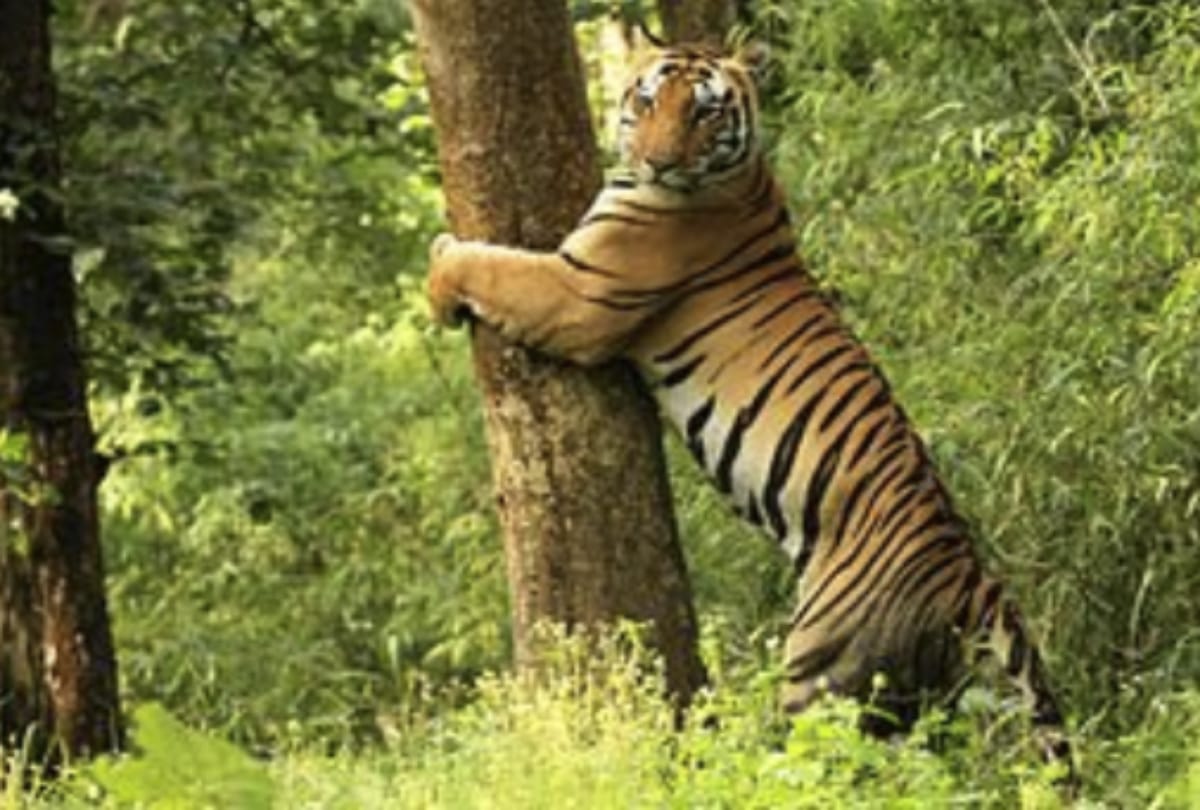 know best places of india to visit in march