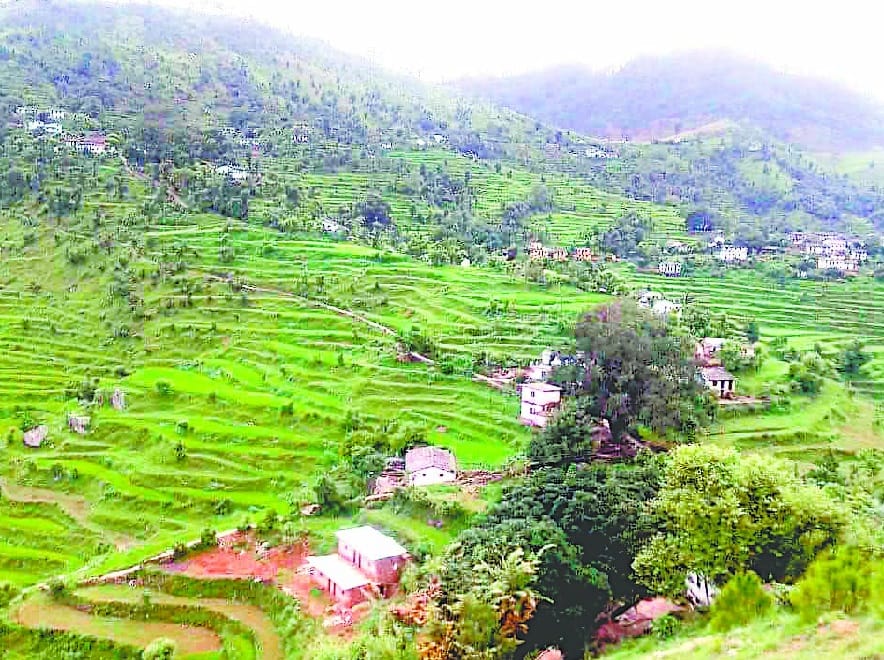 migration from leti village