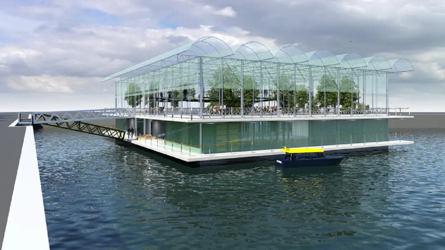 new farming ideas commercial farming On rooftops and in tunnels in cities to teach farming