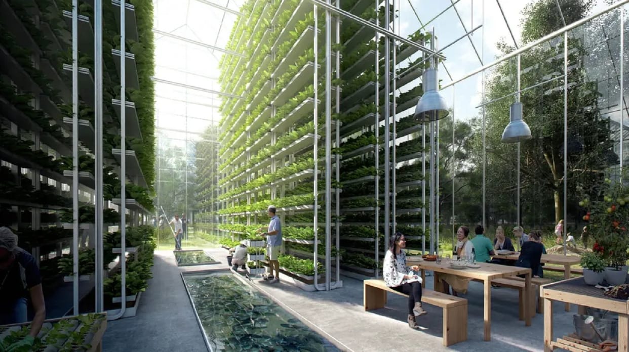new farming ideas commercial farming On rooftops and in tunnels in cities to teach farming