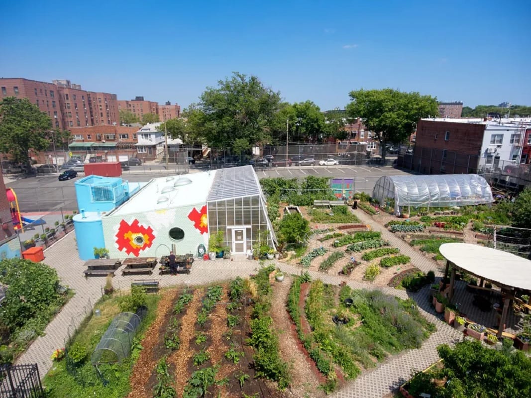 new farming ideas commercial farming On rooftops and in tunnels in cities to teach farming