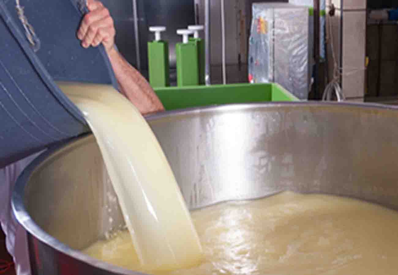 news related to food factory in kanpur