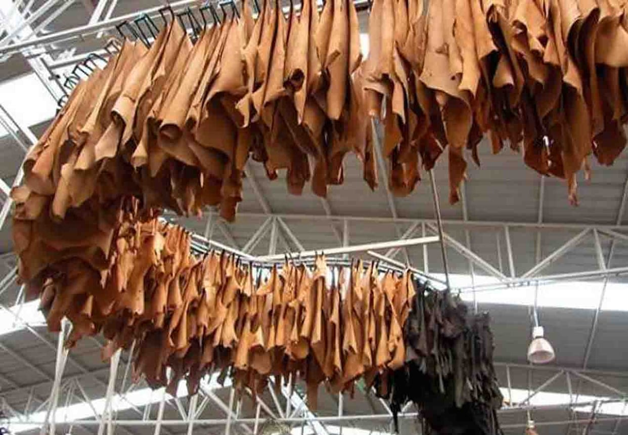 news related to kanpur leather industry