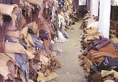 news related to kanpur leather industry