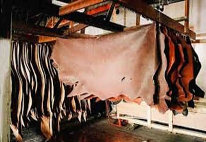 news related to kanpur leather industry