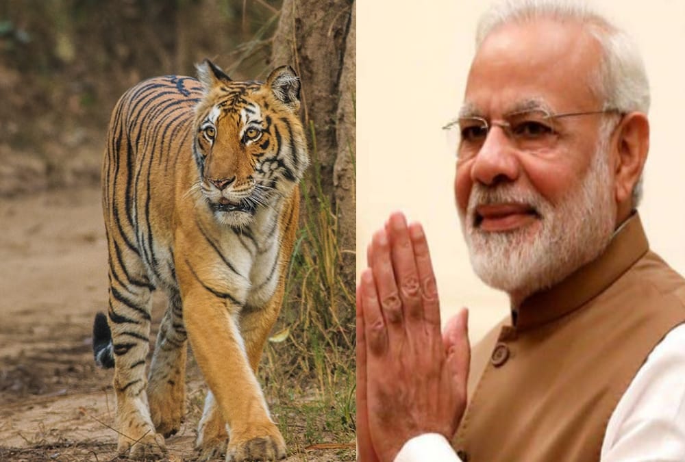 PM narendra modi May Visit Jim Corbett national Park on 14th february