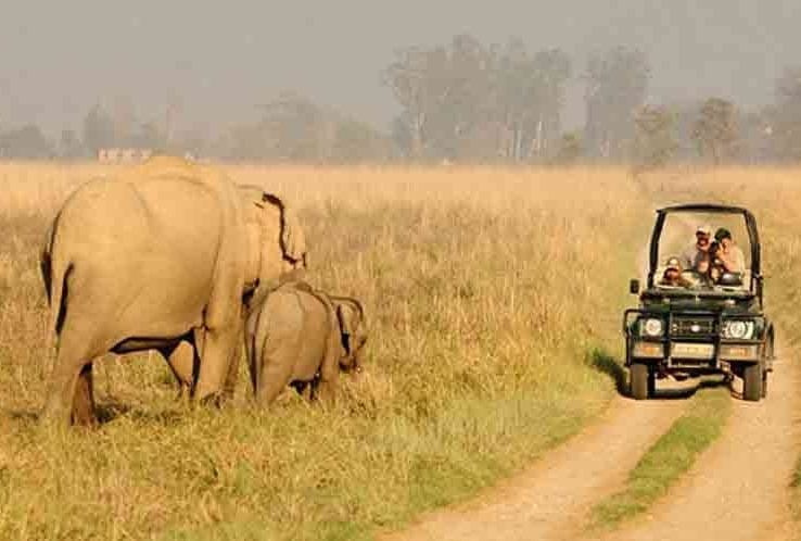 top 10 travel destinations in india you need to visit