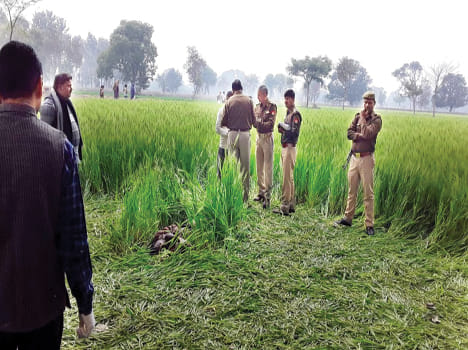 The murder of the rural people guarding the tubewell