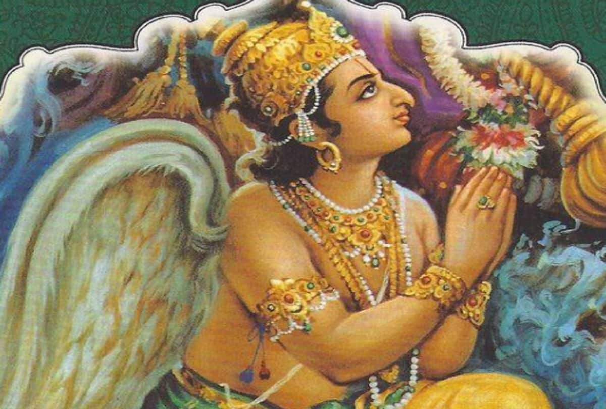 know the reason why snake tongue is cut in two parts