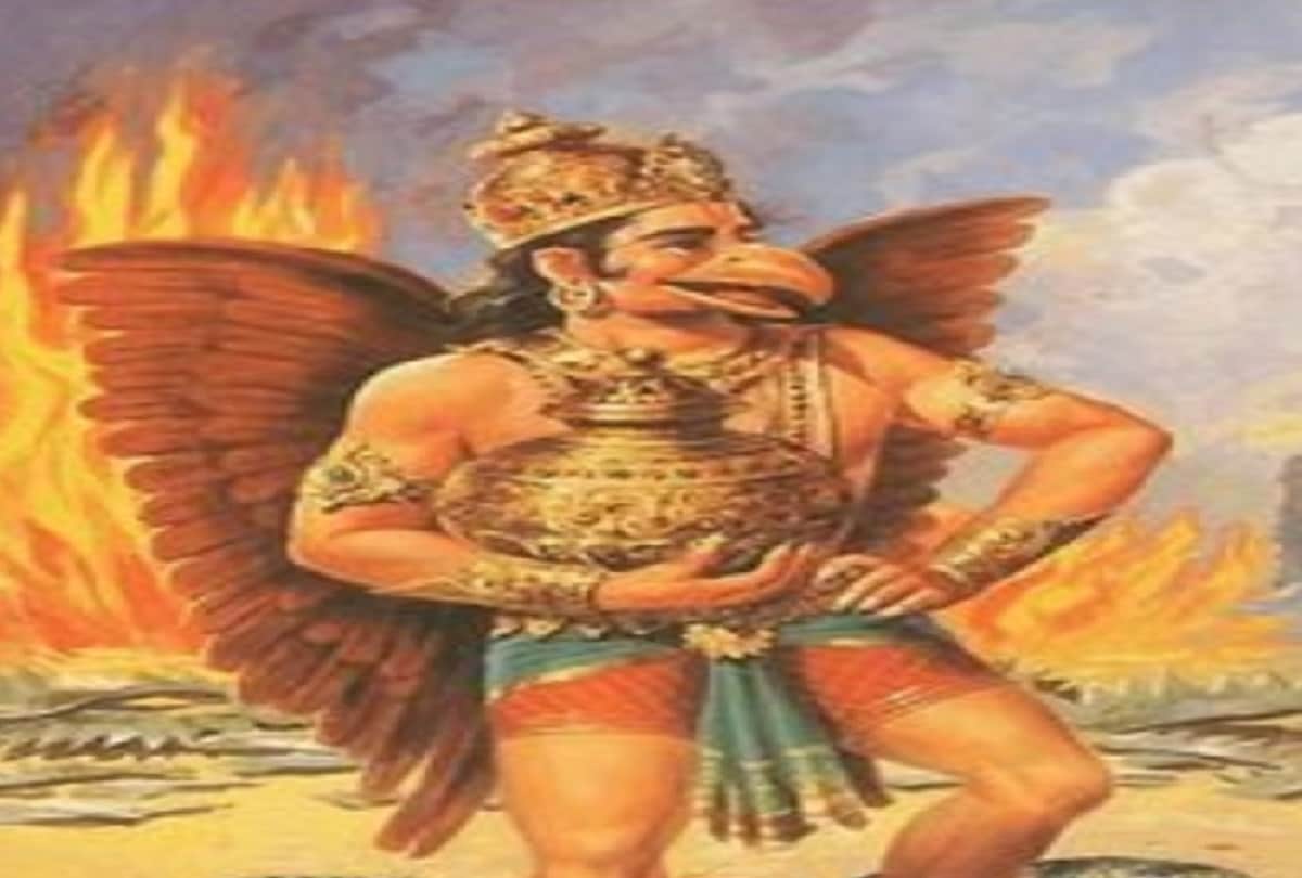 know the reason why snake tongue is cut in two parts