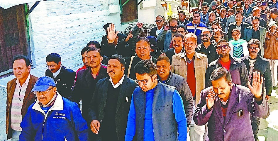 Advocates performed in the Collectorate