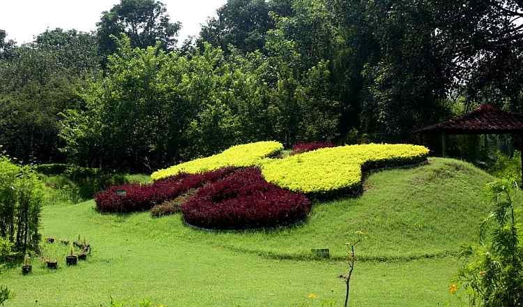 8 Places to Celebrate Valentines Day with Partener