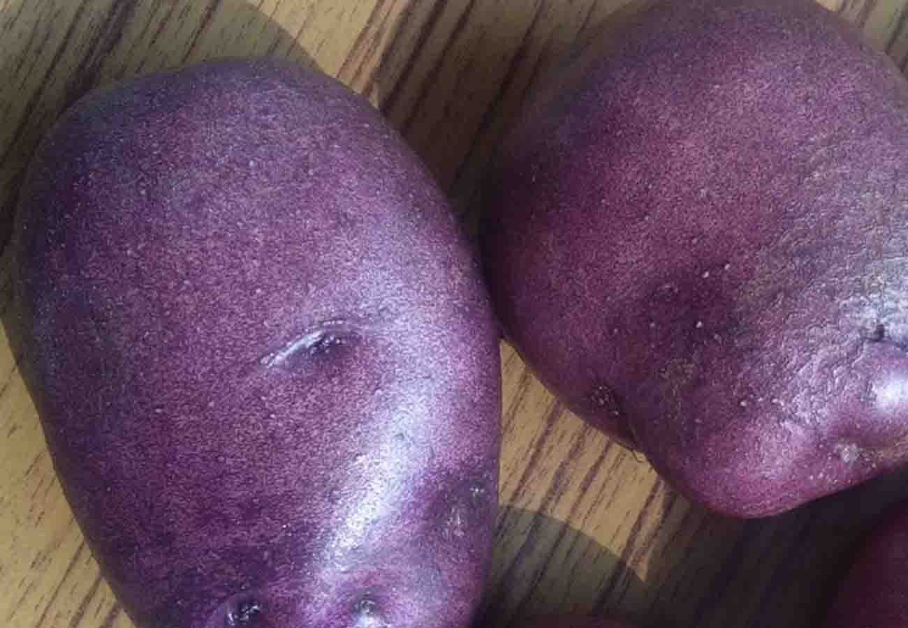 special potato and its quality