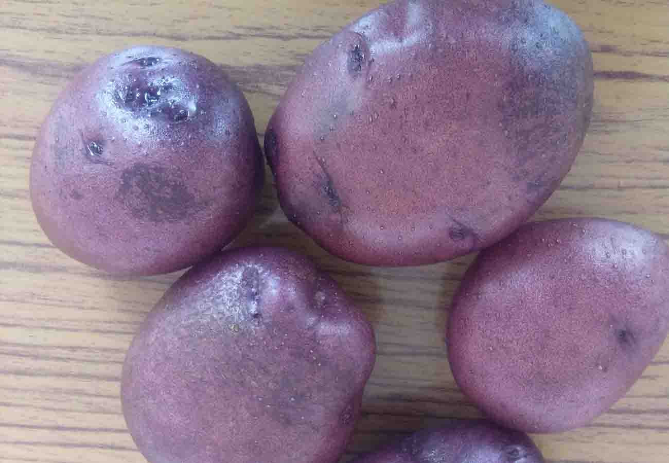 special potato and its quality