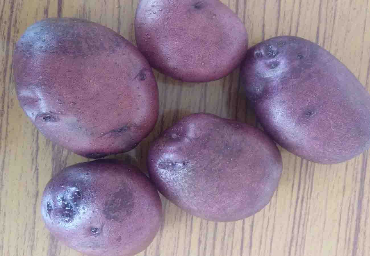 special potato and its quality
