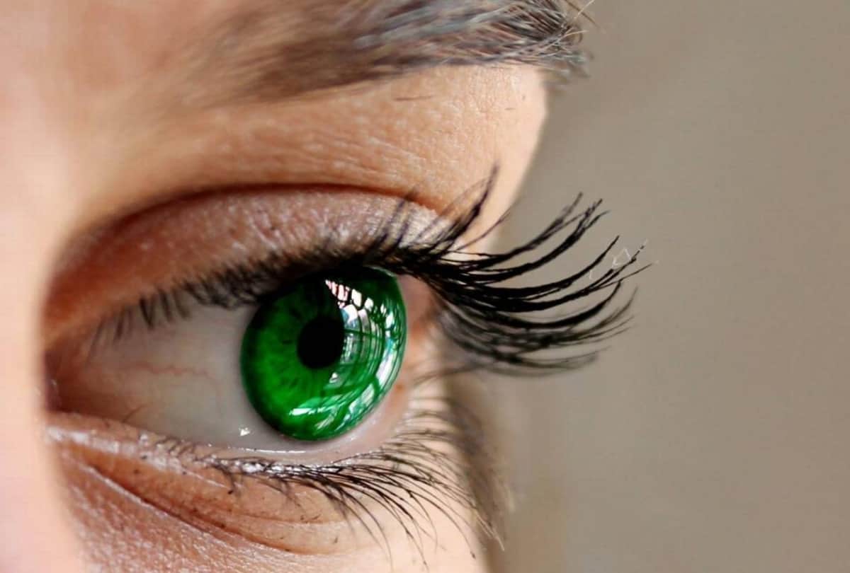 easy home remedies to get thicker and longer eyelashes without extension