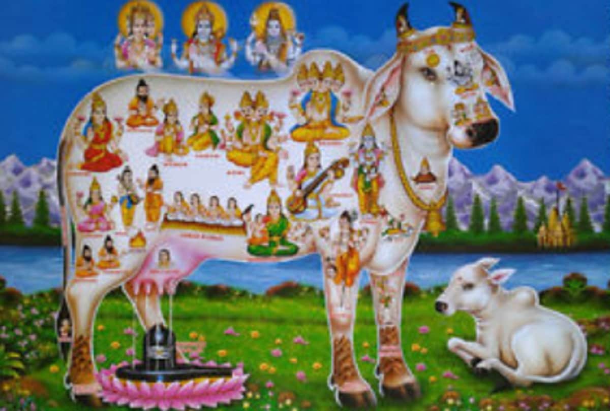 Lord Parashurama killed Kshatriyas 21 times but why