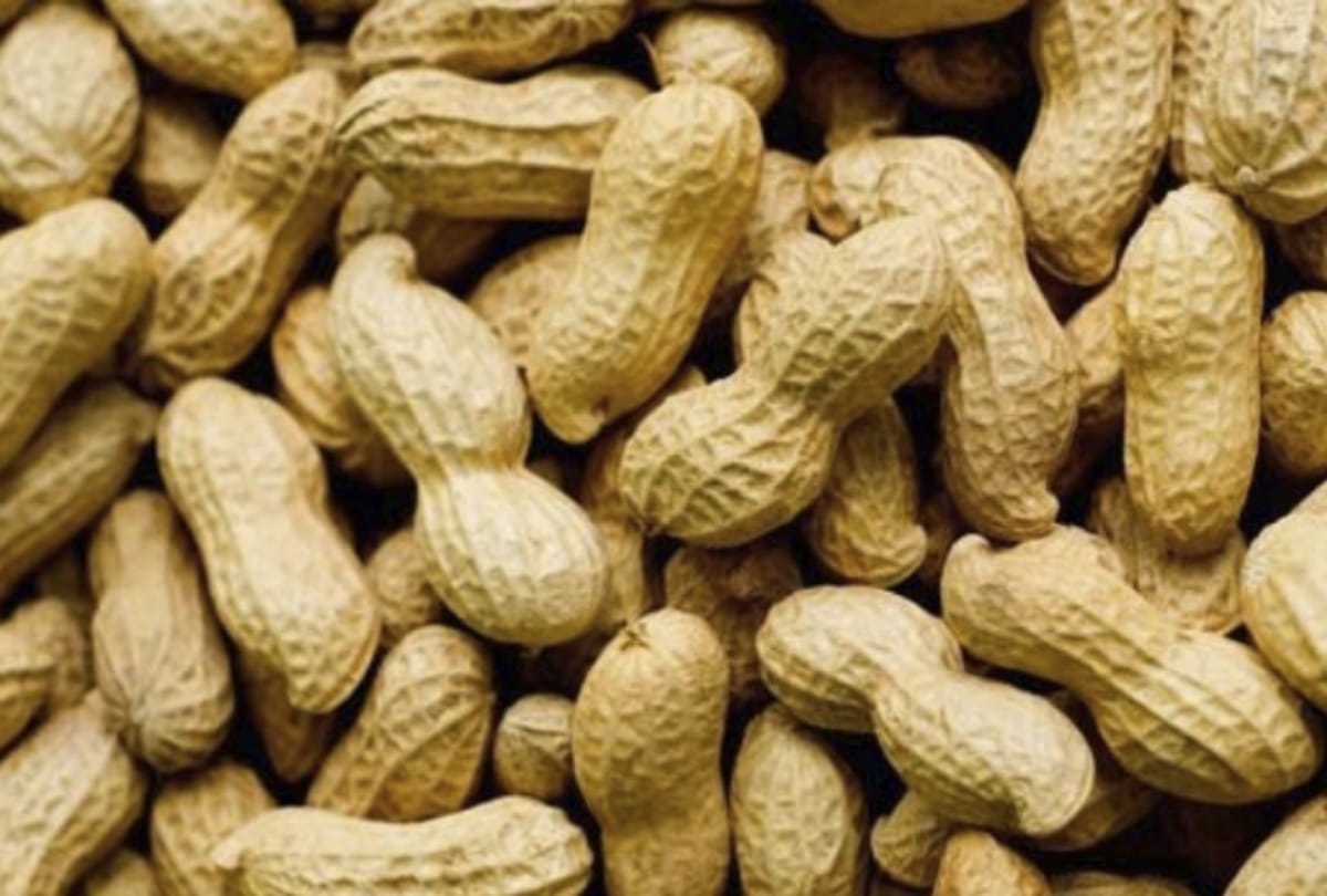 10 carore hang peanut farmer