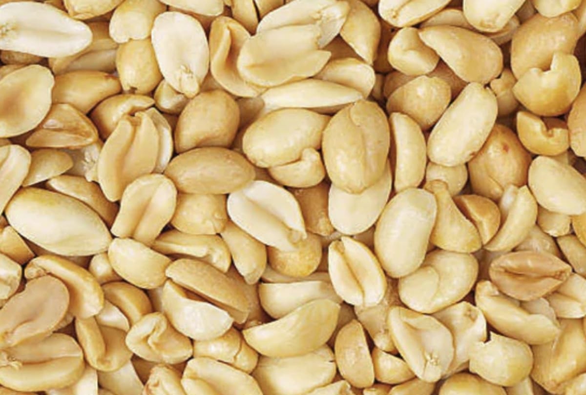 evening snacks Besan coated peanuts make in-home with an easy recipe