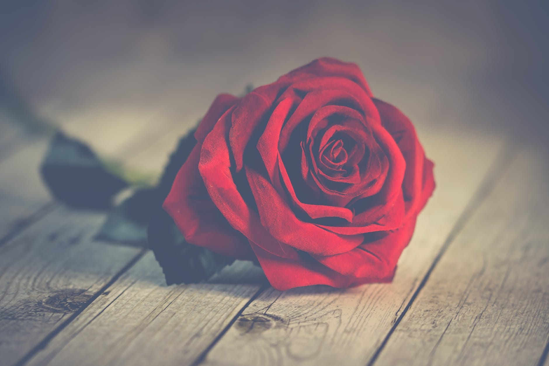 valentine special: secrets of love god kamdev