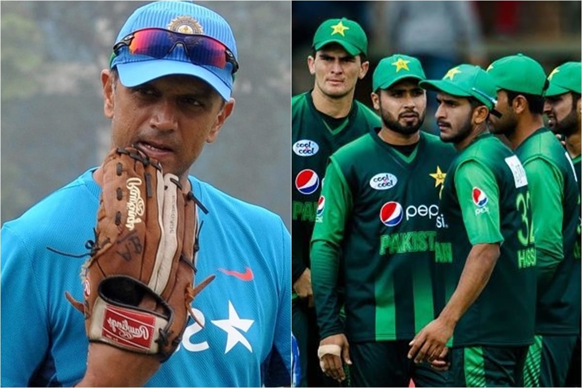 pakistan cricket board learn from rahul dravid strategy for improvement in their teams