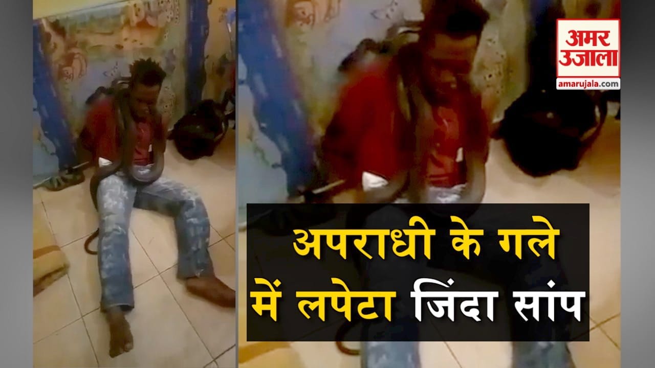 viral video