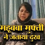 मुफ्ती