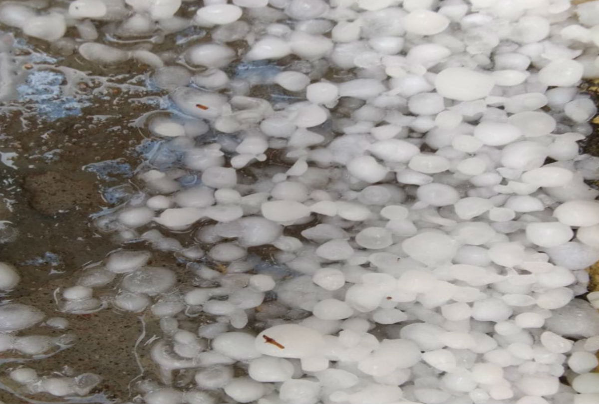 Valentine Day 2019: weather change due to rain and cold wave in braj