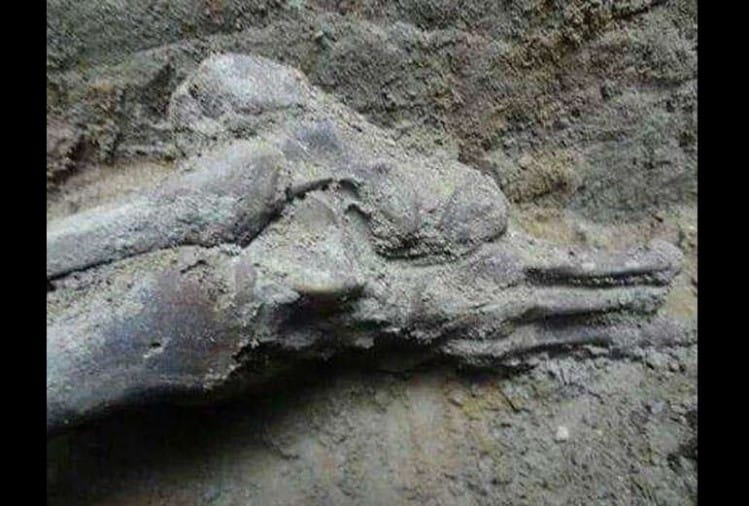 1857 Revolt, reserch om martyrs skelten found from kalianwala khu in ajnala
