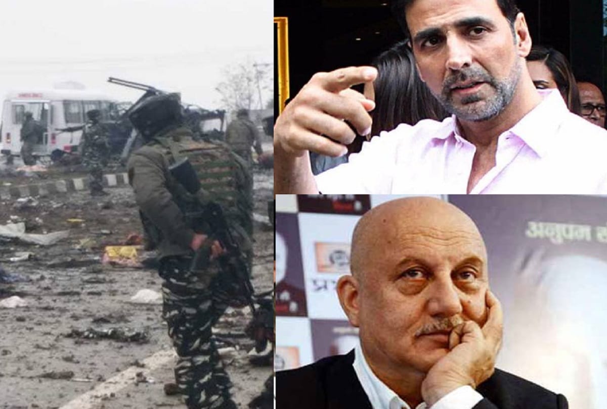 bollywood actors angery over crpf terror attack and comments on twitter