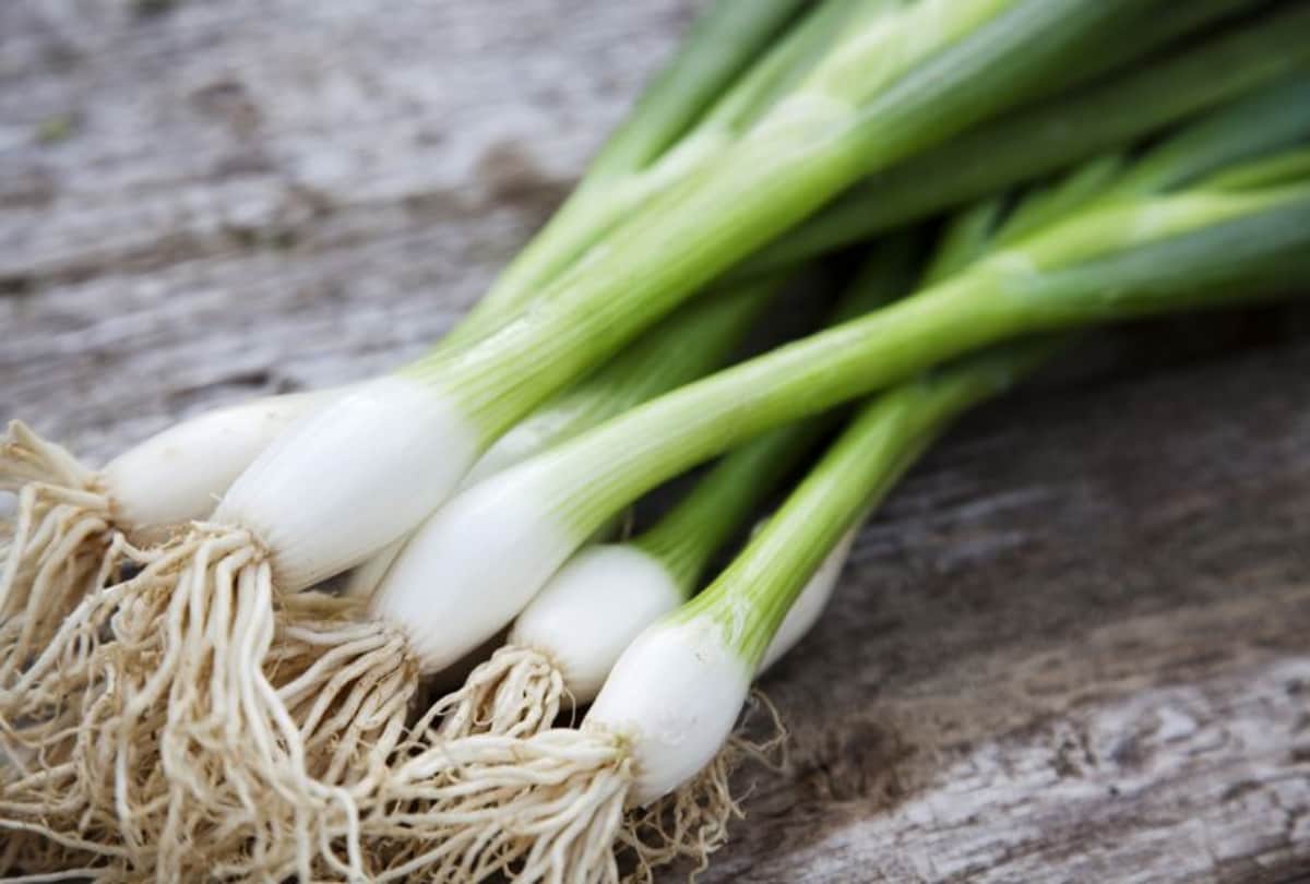 Why onions are considered tamasic and rajasic in Ayurveda and what are their benefits